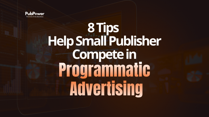 8 tips help small publisher compete in Programmatic Advertising